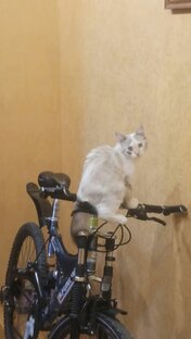 Поехали,ну где вы там...