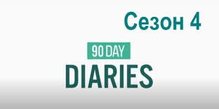 Дневники 90 дней