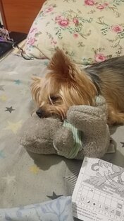 Микос🥺