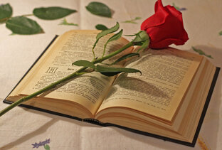 Читать расклады!