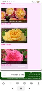 Наткнулась в ютубе на такую красоту, очень хочу заказать розы в наш розарии.