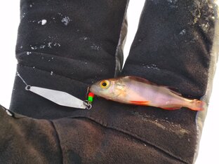 Зимняя блесна. Мои самоделки