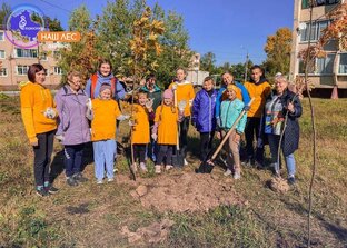 НАШ ЛЕС. ПОСАДИ СВОЁ ДЕРЕВО 🌲 