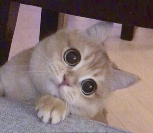 Про оральные контрацептивы 