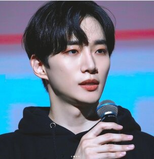 Айдолы поют 