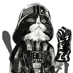 Подборка пушистых за все время