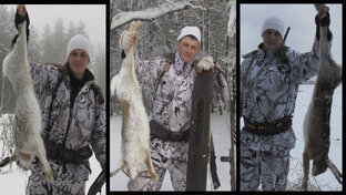 Охота на зайца 