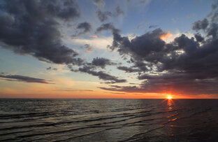 Фотографии