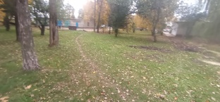 Осень 