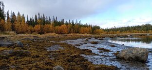 Северная рыбалка, осень 2021