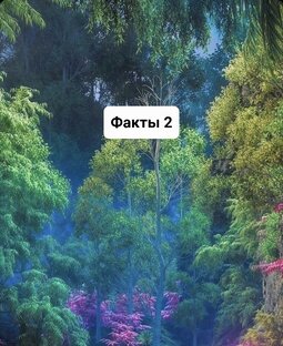 Факты 2
