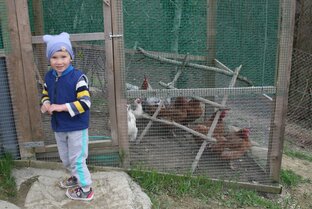 Сарай и курятник 