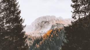 Во что мы играли раньше