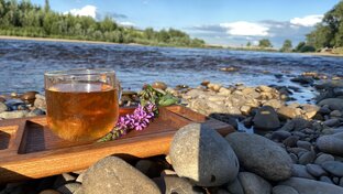 Кулинария / Рецепты