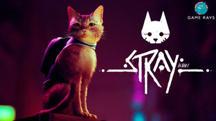 Stray