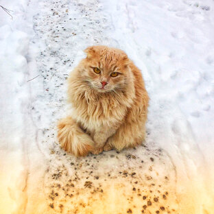 Мир
