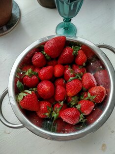 Рецепты