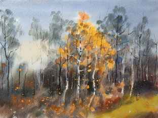 Мастер-классы этюдов