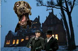 Собака Баскервилей. А ведь могло быть и так!