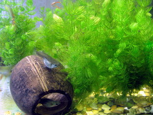 3. Живой уголок