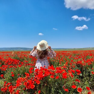 Наши экскурсии