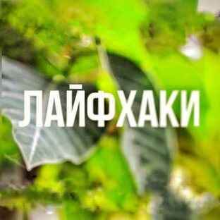 Полезные советы, лайфхаки