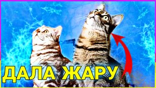 НАШИ МАЛЫШИ 