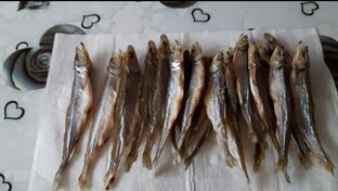 О ЕДЕ, ЧТО ГОТОВИМ, ГДЕ ПОКУПАЕМ
