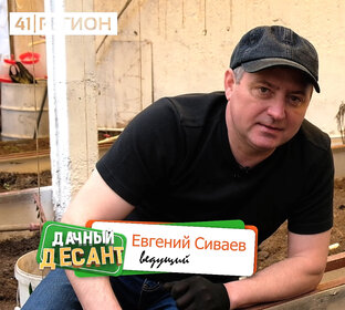 Дачные советы для жителей Камчатки