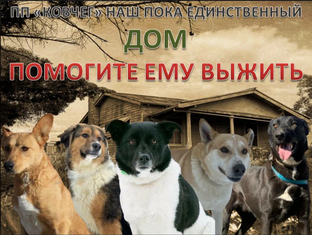 Ковчег