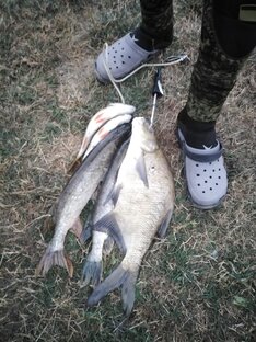 Река Нара подводная охота!