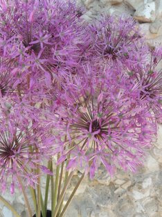 красиво!!!!и красота вокруг