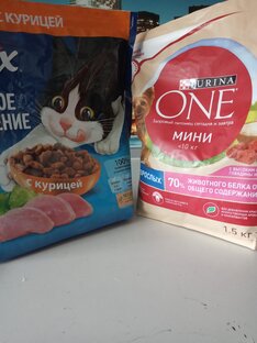 Уход и питание наших четвероногих друзей.