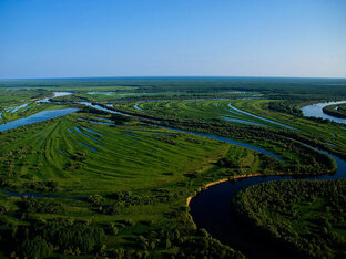 Дневник вахтовички