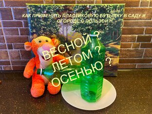 Как применять в саду и огороде обычную пластиковую бутылку с пользой