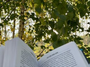 Книжные статьи