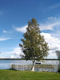 Путешествия