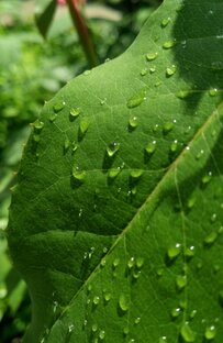 Мистические рассказы 