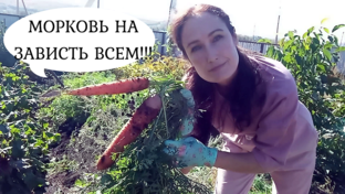 МОРКОВЬ