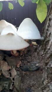 Природа ...красота в простоте...