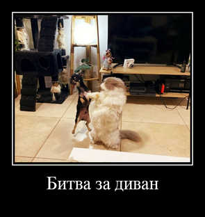 Демотиваторы: 11 - 20