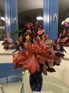 Как прекрасен этот мир