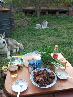 Моя кухня