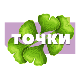 Точки