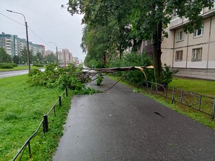 Последствия урогана