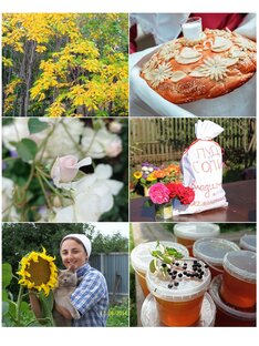 Жизнь в прозе