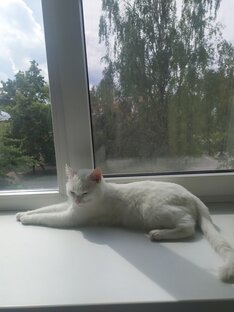 Обо мне