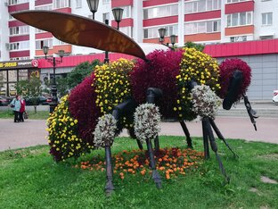 Прогулки по Уфе⛲