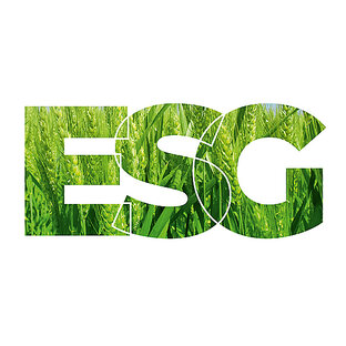 Онлайн-курс ESG