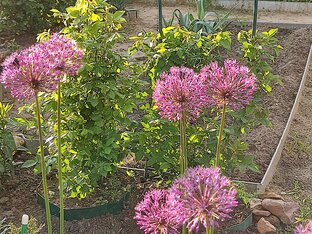 Лирическое отступление... 